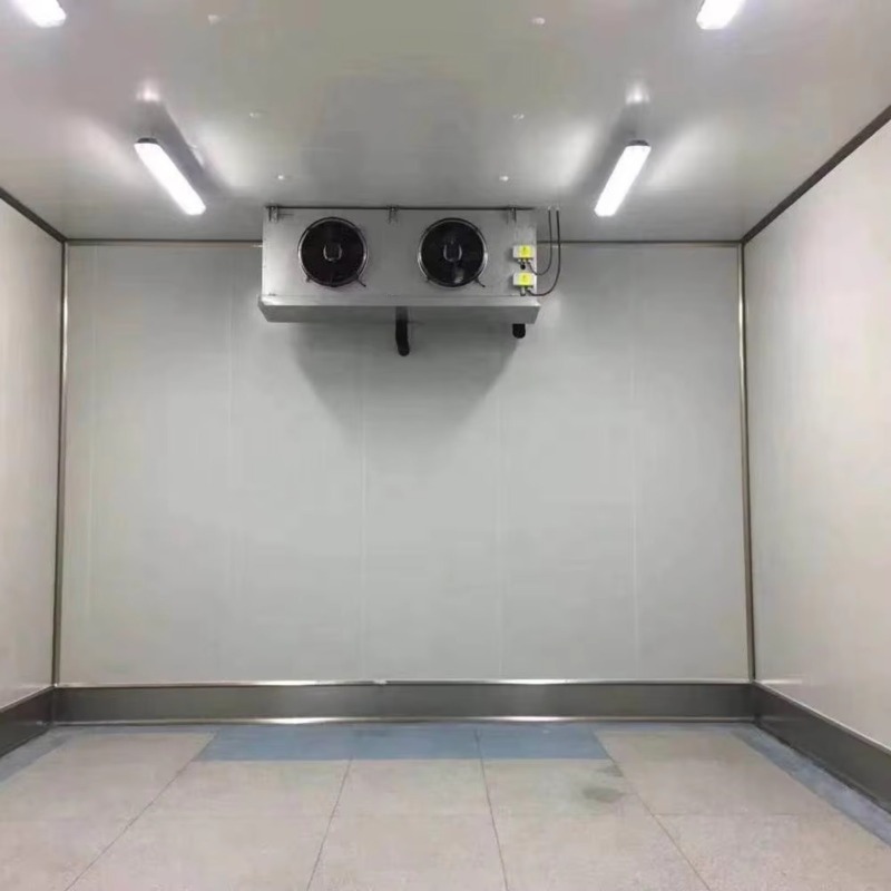 Walk In Refrigerator Cold Stor - Food Storage Facilities ulasan dan harga
