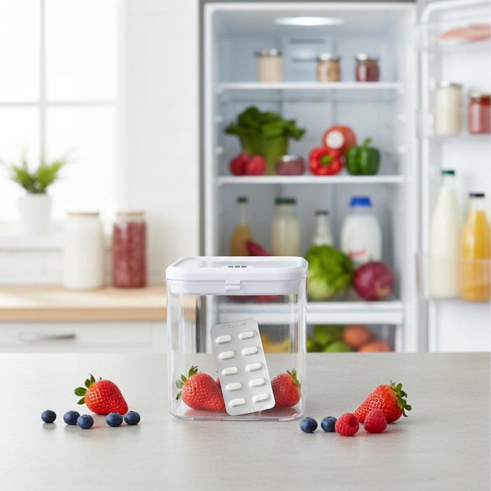 Clear Lockable Box Versatile L - Food Storage Plastic ulasan dan harga