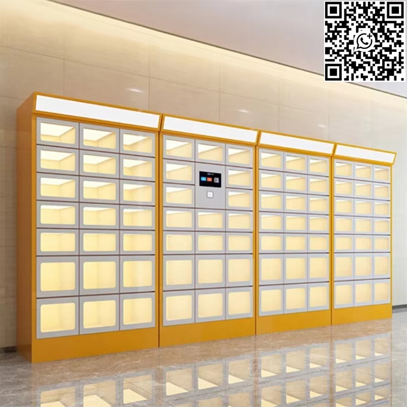 Custom Double Sided Locker Ele - Food Storage Locker ulasan dan harga
